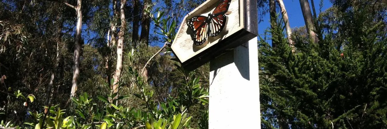 Monarch Cove Inn